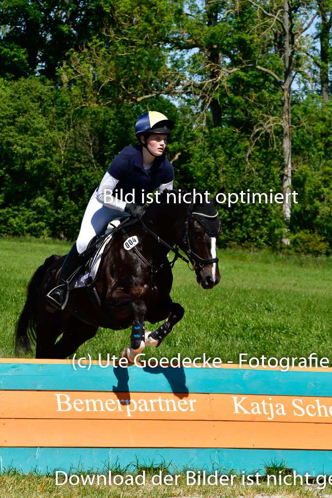 Goldene Schärpe Ponys in Hohen Luckow 1-4.6.23 | Mette Tölner - Barkadi_02 