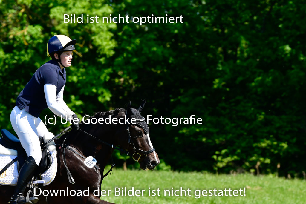 Goldene Schärpe Ponys in Hohen Luckow 1-4.6.23 | Mette Tölner - Barkadi_08