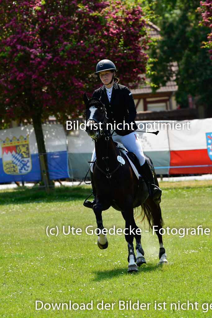 Goldene Schärpe Ponys in Hohen Luckow 1-4.6.23 | Mette Tölner - Barkadi_22 