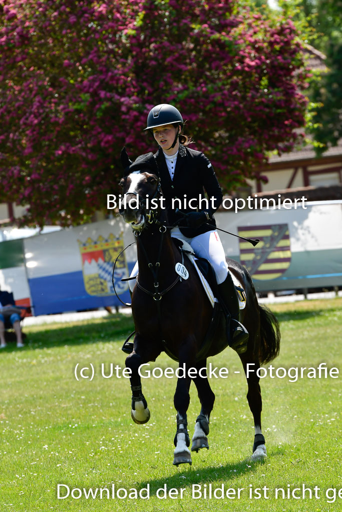 Goldene Schärpe Ponys in Hohen Luckow 1-4.6.23 | Mette Tölner - Barkadi_23 