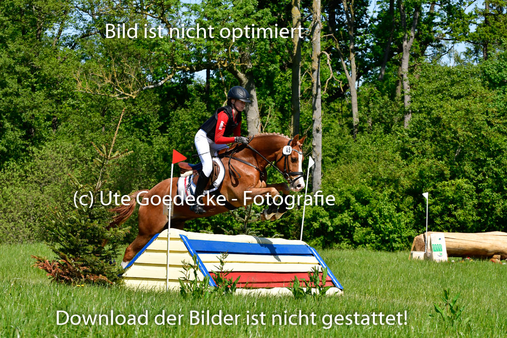 Goldene Schärpe Ponys in Hohen Luckow 1-4.6.23 | _UGO6005 