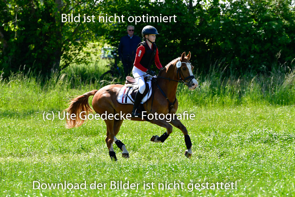 Goldene Schärpe Ponys in Hohen Luckow 1-4.6.23 | _UGO6010 