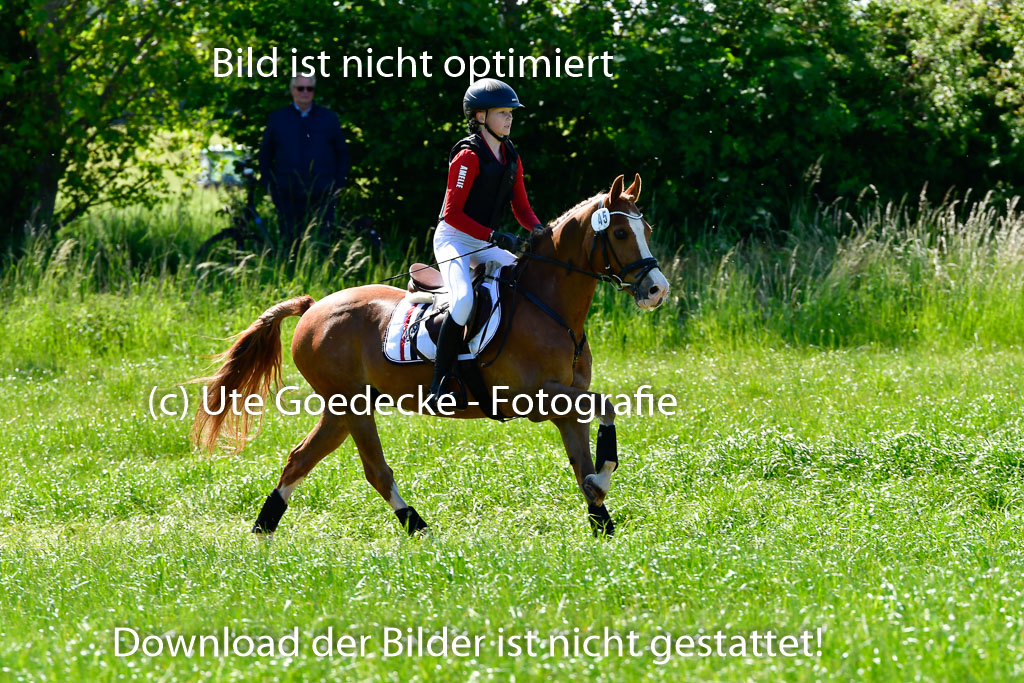 Goldene Schärpe Ponys in Hohen Luckow 1-4.6.23 | _UGO6011 