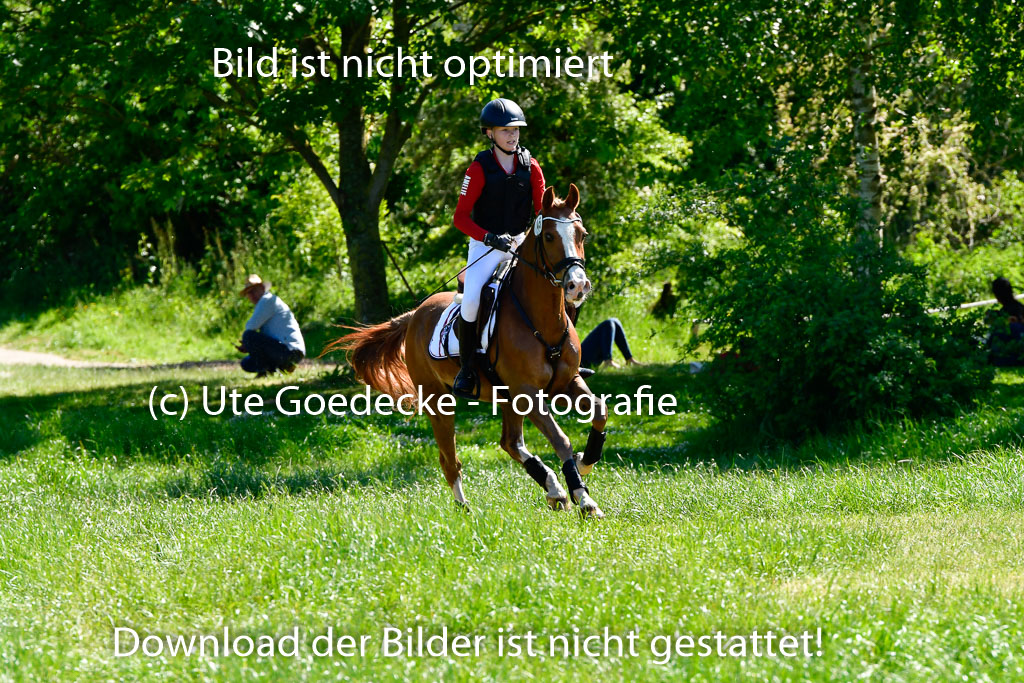 Goldene Schärpe Ponys in Hohen Luckow 1-4.6.23 | _UGO6016 