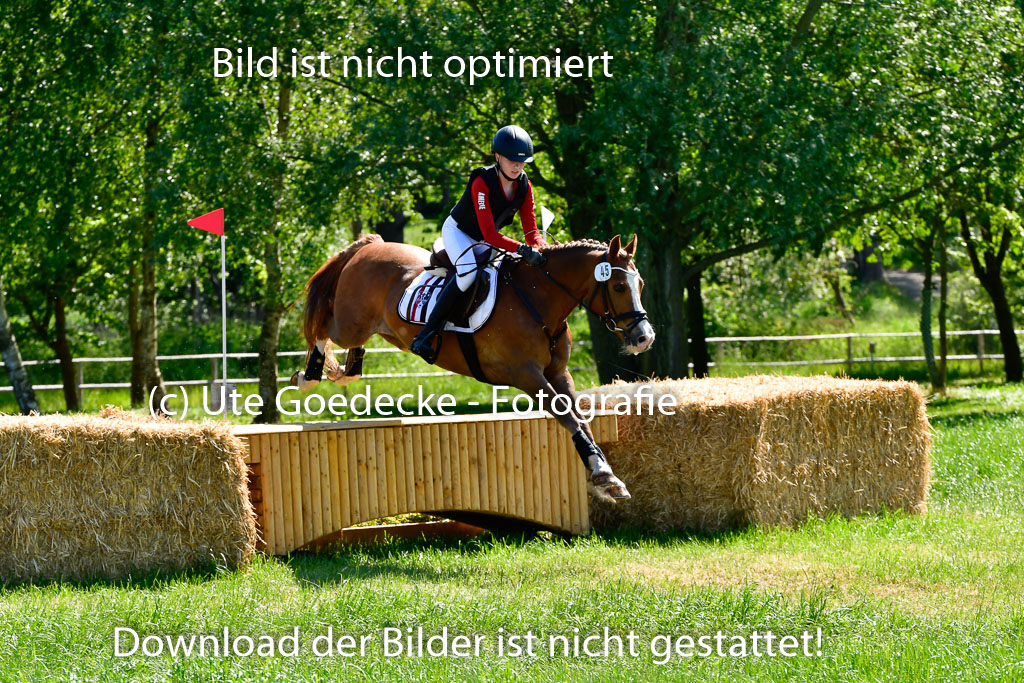 Goldene Schärpe Ponys in Hohen Luckow 1-4.6.23 | _UGO6020 