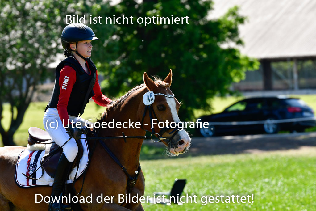 Goldene Schärpe Ponys in Hohen Luckow 1-4.6.23 | _UGO6022 