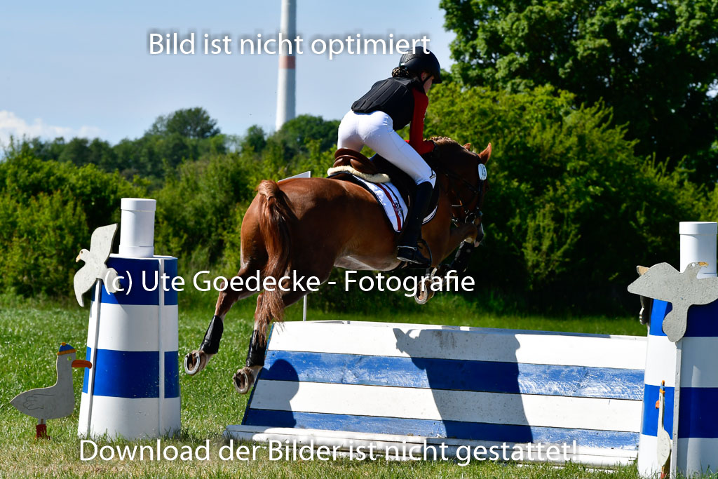 Goldene Schärpe Ponys in Hohen Luckow 1-4.6.23 | _UGO6025 