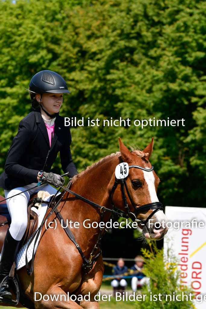 Goldene Schärpe Ponys in Hohen Luckow 1-4.6.23 | _UGO9644 