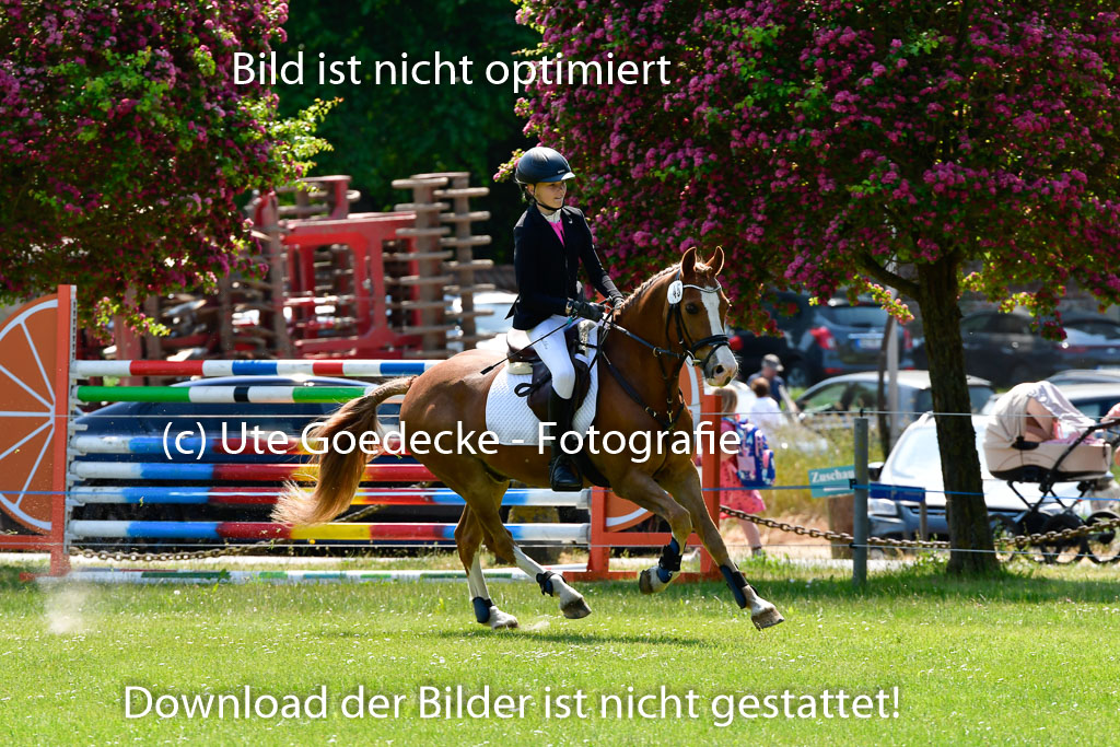 Goldene Schärpe Ponys in Hohen Luckow 1-4.6.23 | _UGO9645 