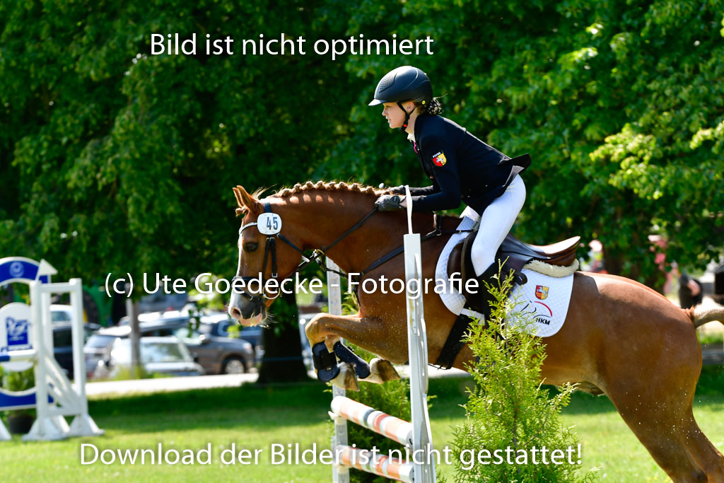 Goldene Schärpe Ponys in Hohen Luckow 1-4.6.23 | _UGO9652 