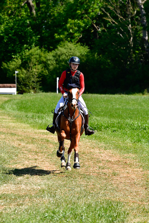 Goldene Schärpe Ponys in Hohen Luckow 1-4.6.23 | 00000001 Anna schwanbeck - so long 