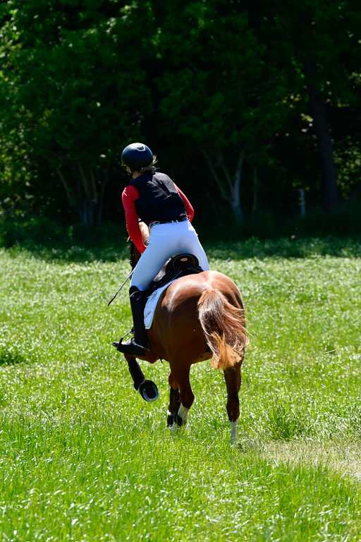 Goldene Schärpe Ponys in Hohen Luckow 1-4.6.23 | 00000006 Anna schwanbeck - so long 