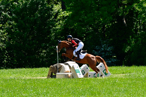 Goldene Schärpe Ponys in Hohen Luckow 1-4.6.23 | 00000007 Anna schwanbeck - so long 