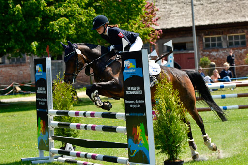 Goldene Schärpe Ponys in Hohen Luckow 1-4.6.23 | 04062023 - Carolin jankord - Mondeo_14 