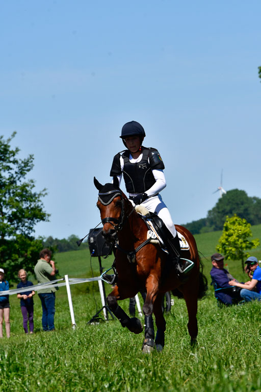Goldene Schärpe Ponys in Hohen Luckow 1-4.6.23 | 04062023 - Colin Martin - Dante 