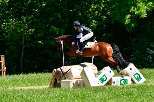 Goldene Schärpe Ponys in Hohen Luckow 1-4.6.23 | 04062023 - Colin Martin - Dante_05 