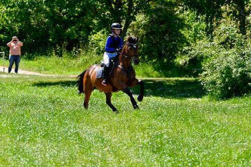Goldene Schärpe Ponys in Hohen Luckow 1-4.6.23 | 04062023 - Jette C Sievbers - Streicher_12 