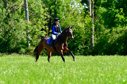 Goldene Schärpe Ponys in Hohen Luckow 1-4.6.23 | 04062023 -Elisa Wetzlar - Cleopatra_04 