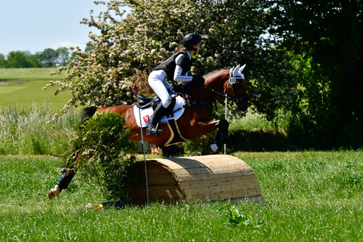 Goldene Schärpe Ponys in Hohen Luckow 1-4.6.23 | 04062023 Alicia Hebecke - Chilli Pepper_11 