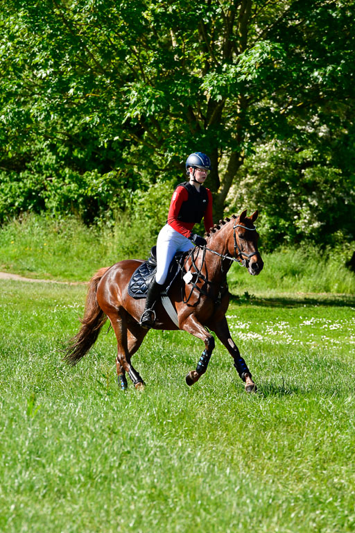 Goldene Schärpe Ponys in Hohen Luckow 1-4.6.23 | 04062023 Anna Hümmeler - Daily Motion_06 