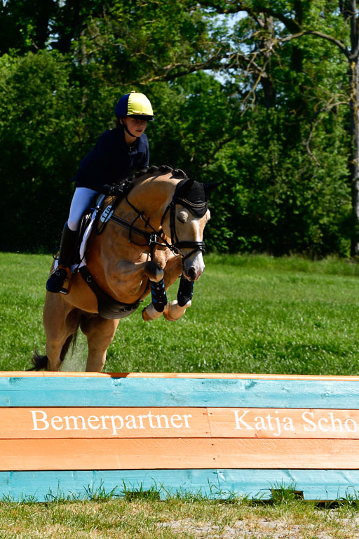 Goldene Schärpe Ponys in Hohen Luckow 1-4.6.23 | 04062023 Anna von Helldorf - Vespucci_02 