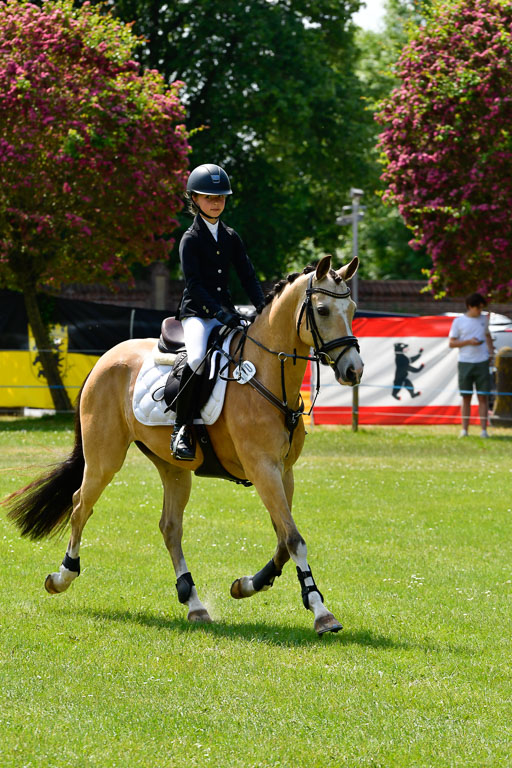 Goldene Schärpe Ponys in Hohen Luckow 1-4.6.23 | 04062023 Anna von Helldorf - Vespucci_17 