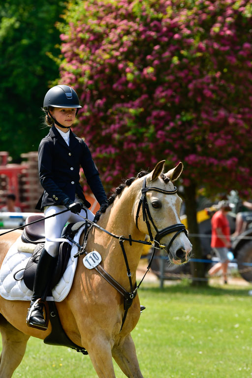 Goldene Schärpe Ponys in Hohen Luckow 1-4.6.23 | 04062023 Anna von Helldorf - Vespucci_18 