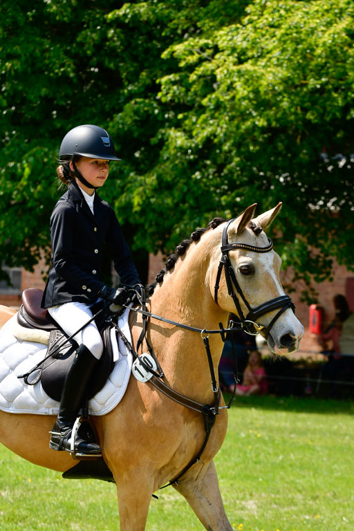 Goldene Schärpe Ponys in Hohen Luckow 1-4.6.23 | 04062023 Anna von Helldorf - Vespucci_19 