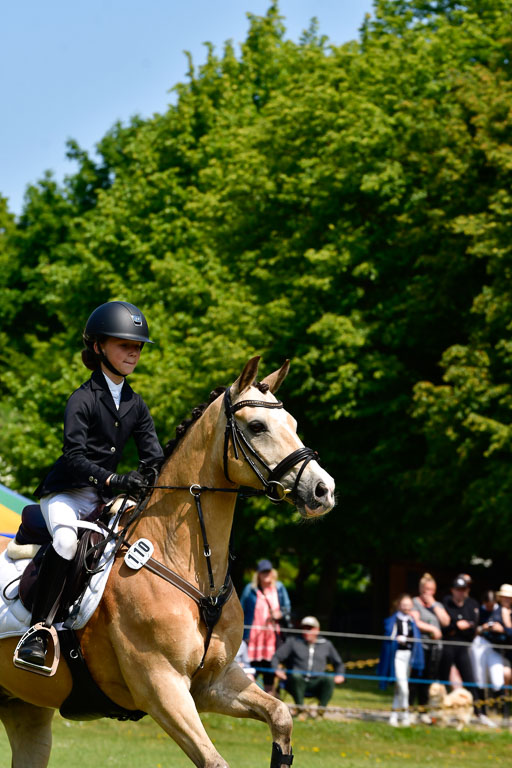 Goldene Schärpe Ponys in Hohen Luckow 1-4.6.23 | 04062023 Anna von Helldorf - Vespucci_23 