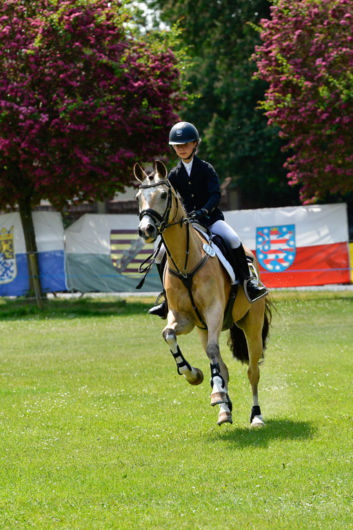 Goldene Schärpe Ponys in Hohen Luckow 1-4.6.23 | 04062023 Anna von Helldorf - Vespucci_30 