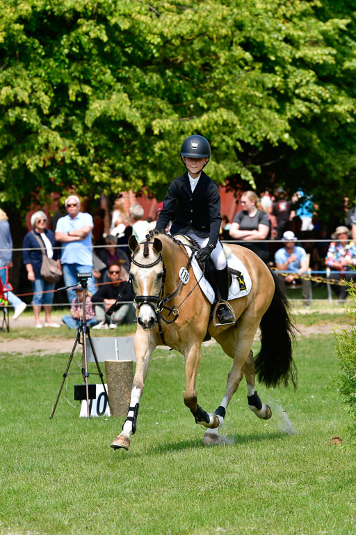 Goldene Schärpe Ponys in Hohen Luckow 1-4.6.23 | 04062023 Anna von Helldorf - Vespucci_33 