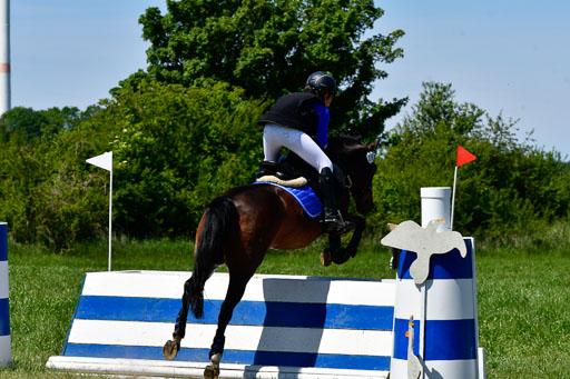 Goldene Schärpe Ponys in Hohen Luckow 1-4.6.23 | 04062023  Annie Teusch - cherie_17 