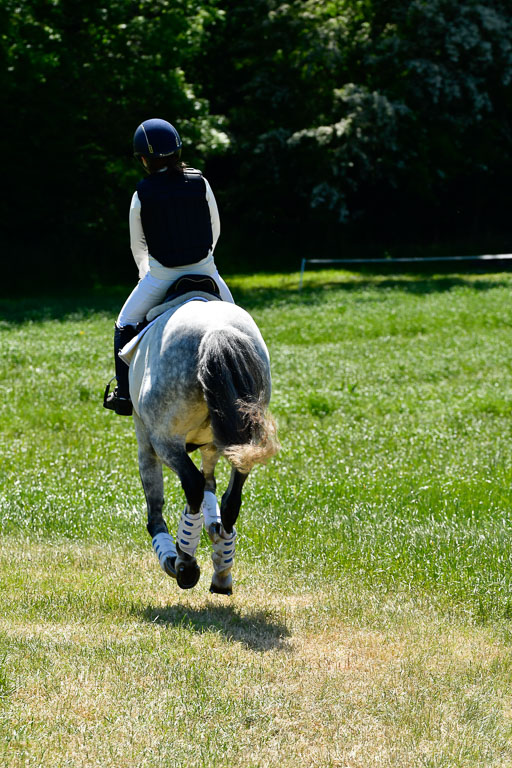 Goldene Schärpe Ponys in Hohen Luckow 1-4.6.23 | 04062023 Antonia Schöning - kaiser_05 