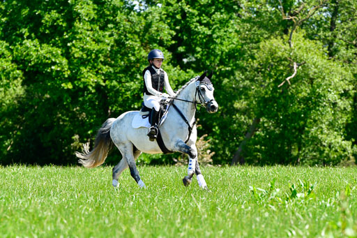 Goldene Schärpe Ponys in Hohen Luckow 1-4.6.23 | 04062023 Antonia Schöning - kaiser_08 