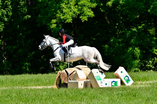Goldene Schärpe Ponys in Hohen Luckow 1-4.6.23 | 04062023 Carl Ziska - Little Lucky_04 