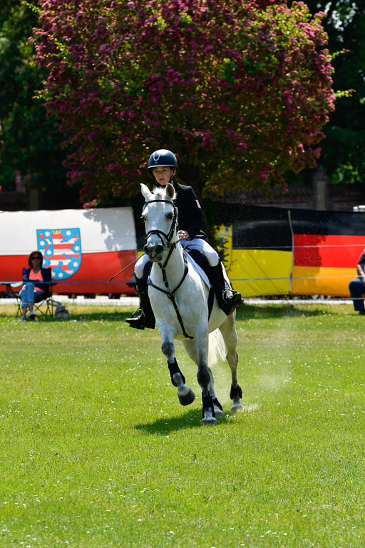 Goldene Schärpe Ponys in Hohen Luckow 1-4.6.23 | 04062023 Carl Ziska - Little Lucky_23 