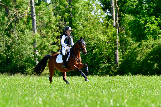 Goldene Schärpe Ponys in Hohen Luckow 1-4.6.23 | 04062023 Caspar Schmidt  - Beauty_03 