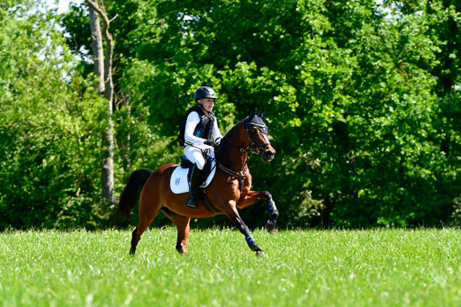 Goldene Schärpe Ponys in Hohen Luckow 1-4.6.23 | 04062023 Caspar Schmidt  - Beauty_04 