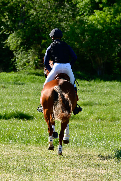 Goldene Schärpe Ponys in Hohen Luckow 1-4.6.23 | 04062023 Cornelius Spör - Abrakadabra_2 