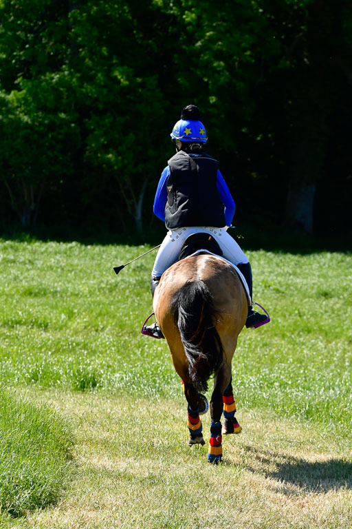 Goldene Schärpe Ponys in Hohen Luckow 1-4.6.23 | 04062023 Felicitas Leicht - Virginia_05 