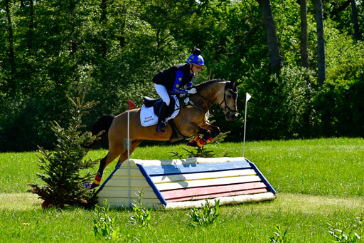 Goldene Schärpe Ponys in Hohen Luckow 1-4.6.23 | 04062023 Felicitas Leicht - Virginia_09 