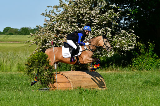 Goldene Schärpe Ponys in Hohen Luckow 1-4.6.23 | 04062023 Felicitas Leicht - Virginia_12 