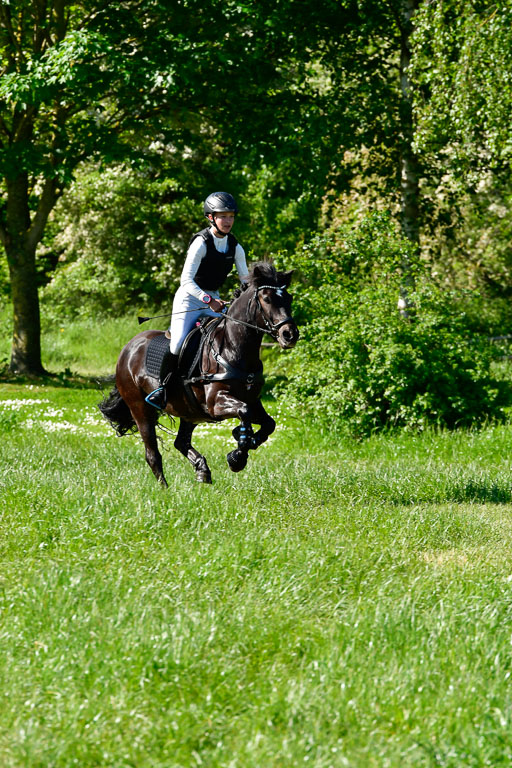 Goldene Schärpe Ponys in Hohen Luckow 1-4.6.23 | 04062023 Felicity werner - Ostwind_12 