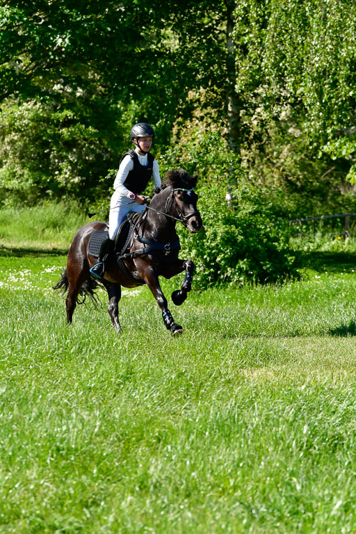Goldene Schärpe Ponys in Hohen Luckow 1-4.6.23 | 04062023 Felicity werner - Ostwind_13 
