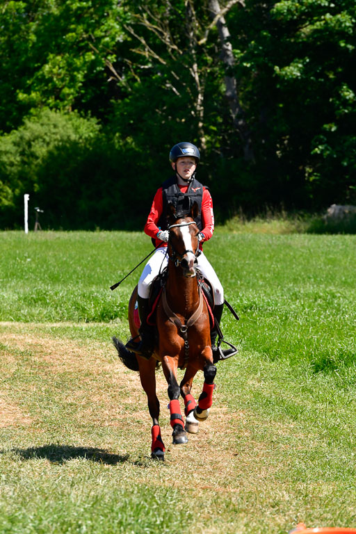 Goldene Schärpe Ponys in Hohen Luckow 1-4.6.23 | 04062023 Felix Triskatis  - Quedence 