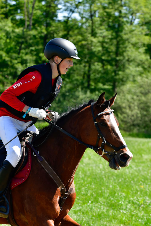 Goldene Schärpe Ponys in Hohen Luckow 1-4.6.23 | 04062023 Felix Triskatis  - Quedence_01 