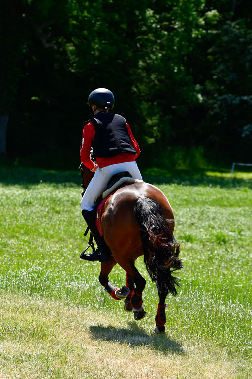 Goldene Schärpe Ponys in Hohen Luckow 1-4.6.23 | 04062023 Felix Triskatis  - Quedence_02 