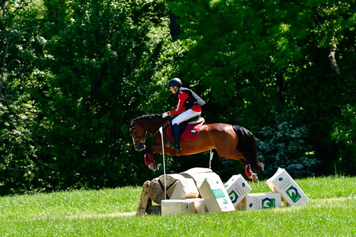 Goldene Schärpe Ponys in Hohen Luckow 1-4.6.23 | 04062023 Felix Triskatis  - Quedence_03 