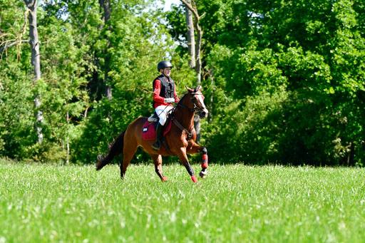 Goldene Schärpe Ponys in Hohen Luckow 1-4.6.23 | 04062023 Felix Triskatis  - Quedence_04 