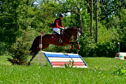Goldene Schärpe Ponys in Hohen Luckow 1-4.6.23 | 04062023 Felix Triskatis  - Quedence_06 